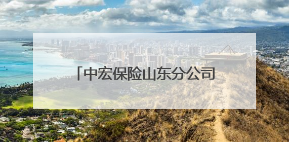 中宏保险山东分公司积极开展《信访工作条例》宣传月活动