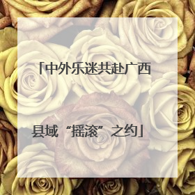 中外乐迷共赴广西县域“摇滚”之约