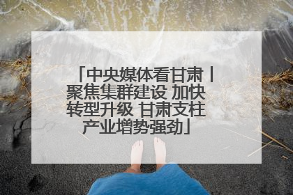 中央媒体看甘肃丨聚焦集群建设 加快转型升级 甘肃支柱产业增势强劲