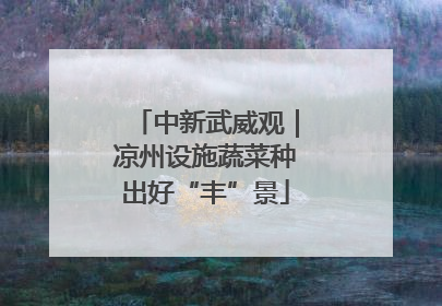 中新武威观｜凉州设施蔬菜种出好“丰”景