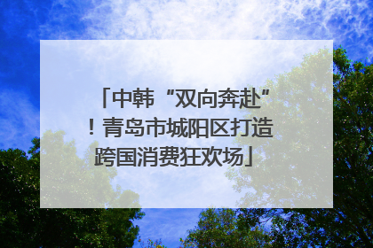 中韩“双向奔赴”！青岛市城阳区打造跨国消费狂欢场
