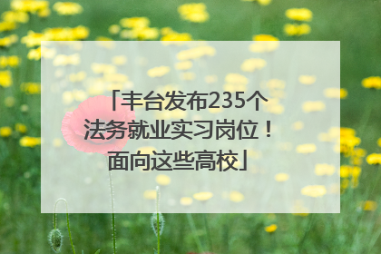 丰台发布235个法务就业实习岗位！面向这些高校