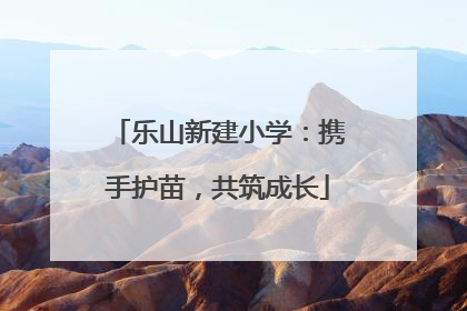 乐山新建小学：携手护苗，共筑成长