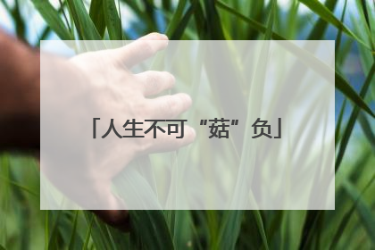 人生不可“菇”负