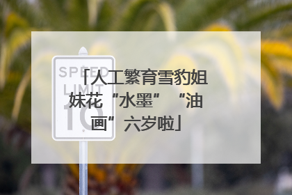 人工繁育雪豹姐妹花“水墨”“油画”六岁啦