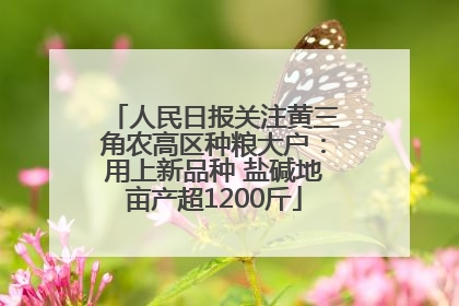 人民日报关注黄三角农高区种粮大户：用上新品种 盐碱地亩产超1200斤
