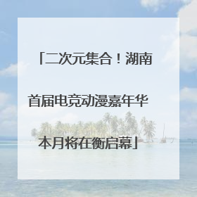 二次元集合！湖南首届电竞动漫嘉年华本月将在衡启幕