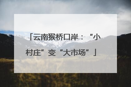 云南猴桥口岸：“小村庄”变“大市场”