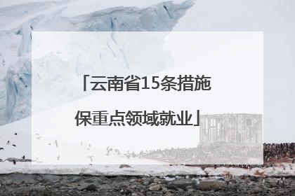 云南省15条措施保重点领域就业