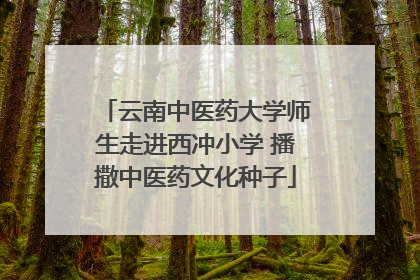 云南中医药大学师生走进西冲小学 播撒中医药文化种子