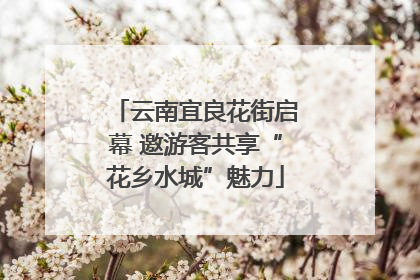云南宜良花街启幕 邀游客共享“花乡水城”魅力