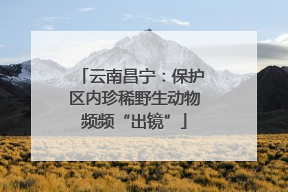 云南昌宁：保护区内珍稀野生动物频频“出镜”