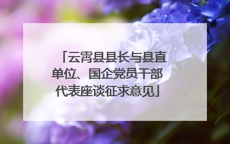 云霄县县长与县直单位、国企党员干部代表座谈征求意见