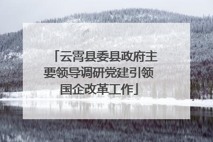 云霄县委县政府主要领导调研党建引领国企改革工作
