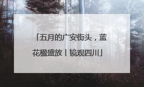 五月的广安街头，蓝花楹盛放丨镜观四川