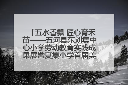 五水香飘 匠心育禾苗——五河县东刘集中心小学劳动教育实践成果展暨夏集小学首届美食节盛大举行