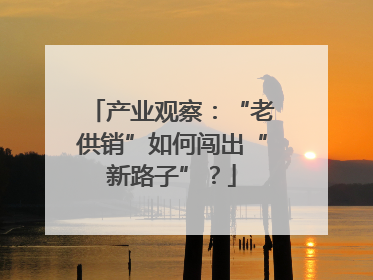 产业观察：“老供销”如何闯出“新路子”？