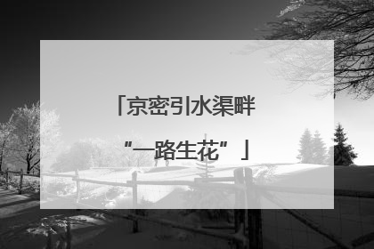 京密引水渠畔“一路生花”