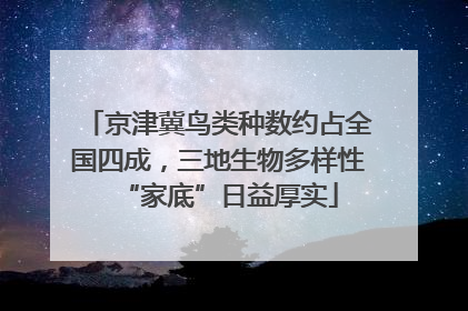 京津冀鸟类种数约占全国四成，三地生物多样性“家底”日益厚实
