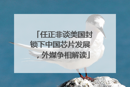 任正非谈美国封锁下中国芯片发展，外媒争相解读