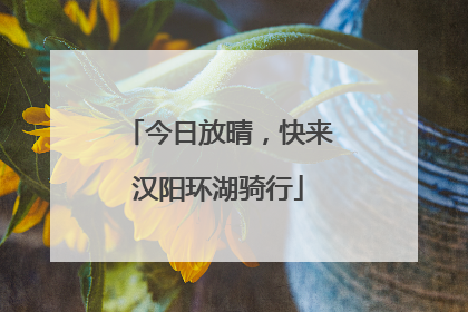 今日放晴，快来汉阳环湖骑行