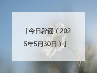 今日辟谣（2025年5月30日）