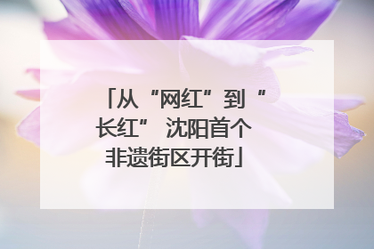 从“网红”到“长红” 沈阳首个非遗街区开街
