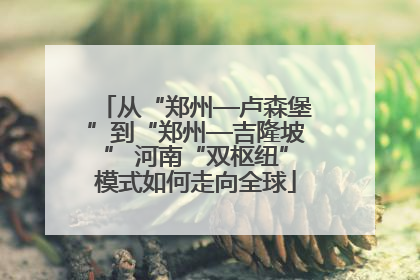 从“郑州—卢森堡”到“郑州—吉隆坡” 河南“双枢纽”模式如何走向全球