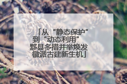 从“静态保护”到“动态利用” 黟县多措并举焕发徽派古建新生机