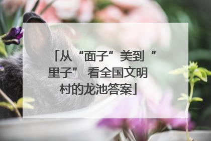 从“面子”美到“里子” 看全国文明村的龙池答案