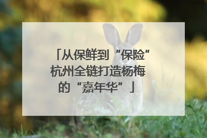 从保鲜到“保险” 杭州全链打造杨梅的“嘉年华”