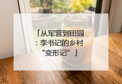 从军营到田园：李书记的乡村 “变形记”