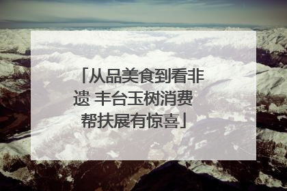 从品美食到看非遗 丰台玉树消费帮扶展有惊喜