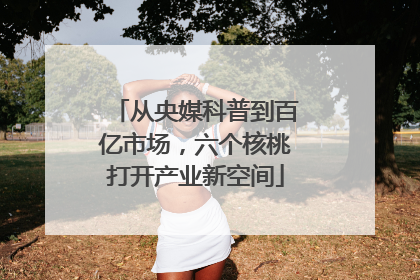 从央媒科普到百亿市场，六个核桃打开产业新空间