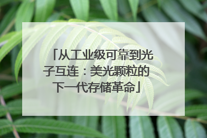 从工业级可靠到光子互连：美光颗粒的下一代存储革命