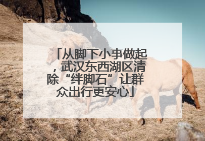 从脚下小事做起，武汉东西湖区清除“绊脚石”让群众出行更安心