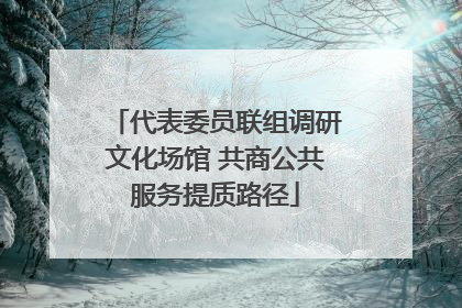 代表委员联组调研文化场馆 共商公共服务提质路径