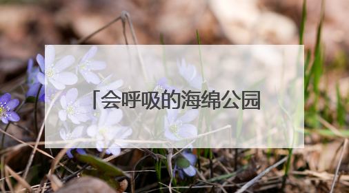 会呼吸的海绵公园来了！杨浦新江湾城7.35公顷生态空间改造焕新