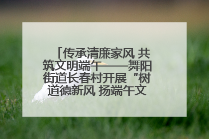 传承清廉家风 共筑文明端午——舞阳街道长春村开展“树道德新风 扬端午文化”主题活动
