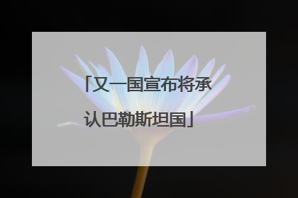 又一国宣布将承认巴勒斯坦国