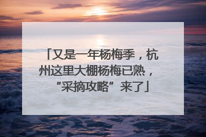 又是一年杨梅季，杭州这里大棚杨梅已熟，“采摘攻略”来了