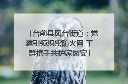台前县凤台街道：党建引领织密防火网 干群携手共护家园安
