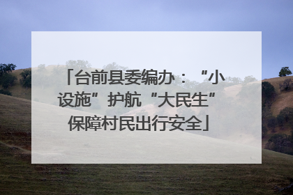 台前县委编办：“小设施”护航“大民生” 保障村民出行安全