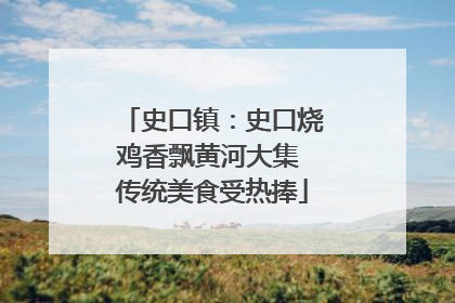 史口镇：史口烧鸡香飘黄河大集 传统美食受热捧