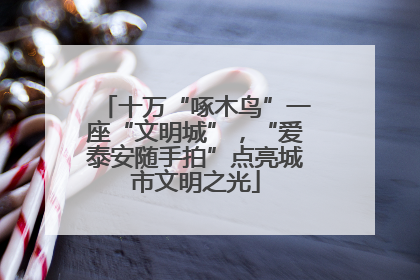 十万“啄木鸟”一座“文明城”，“爱泰安随手拍”点亮城市文明之光