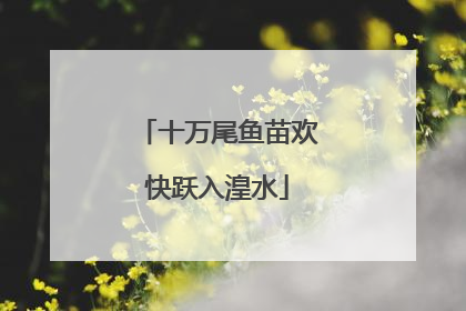 十万尾鱼苗欢快跃入湟水