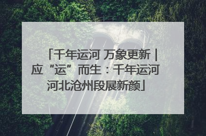 千年运河 万象更新｜应“运”而生：千年运河河北沧州段展新颜