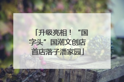 升级亮相！“国字头”国潮文创店首店落子潘家园