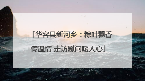华容县新河乡：粽叶飘香传温情 走访慰问暖人心