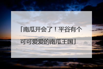 南瓜开会了！平谷有个可可爱爱的南瓜王国